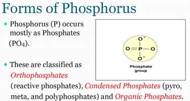 Removal of Phosphorus Phosphorus Fraction Total Phosphate (dissolved + solids) Ortho P Reactive (dissolved + solids) Dissolved Total