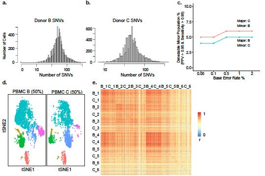 Supplementary Figure 9. SNV analysis of scrna-seq data from Donor B and Donor C PBMCs. (a) Distribution of filtered SNVs in each PBMC from donor B.