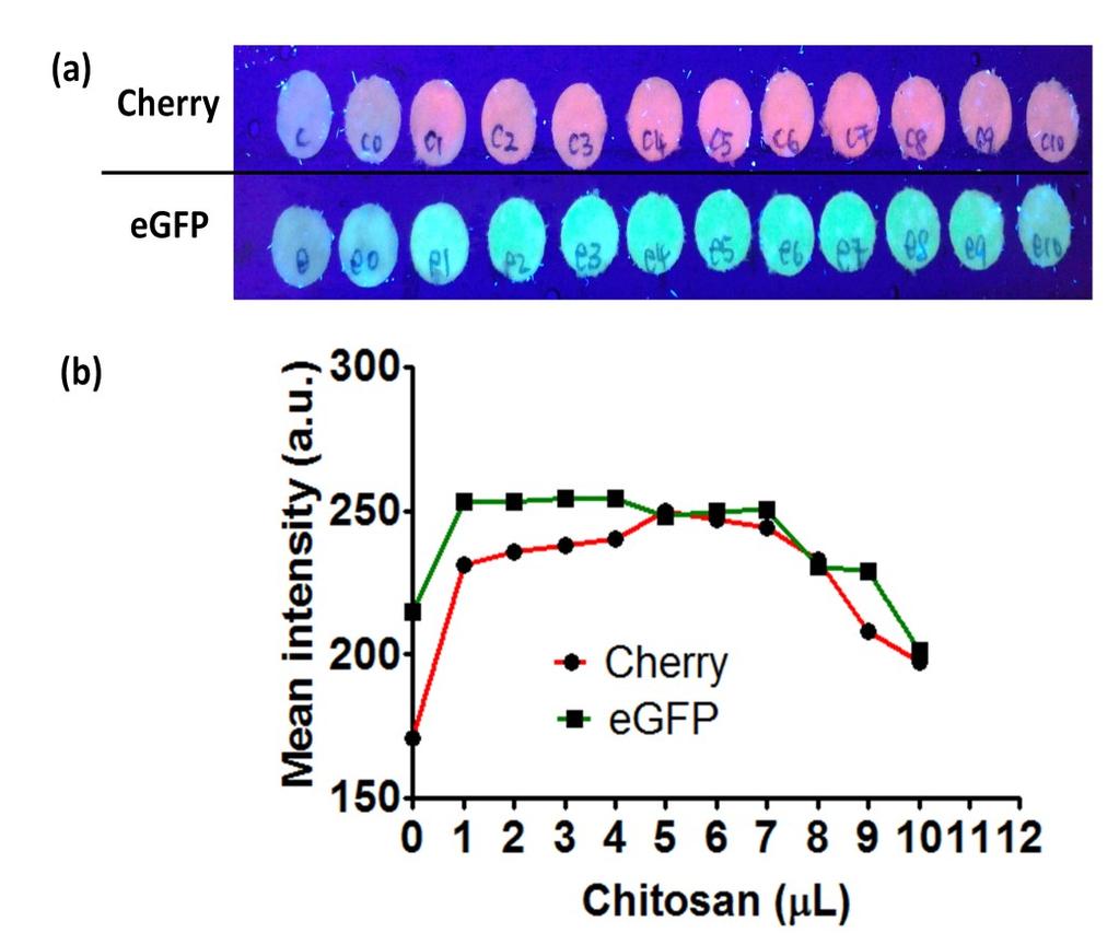 Figure S-5. Investigation of chitosan-glutaraldehyde molar ratio on protein immobilization.