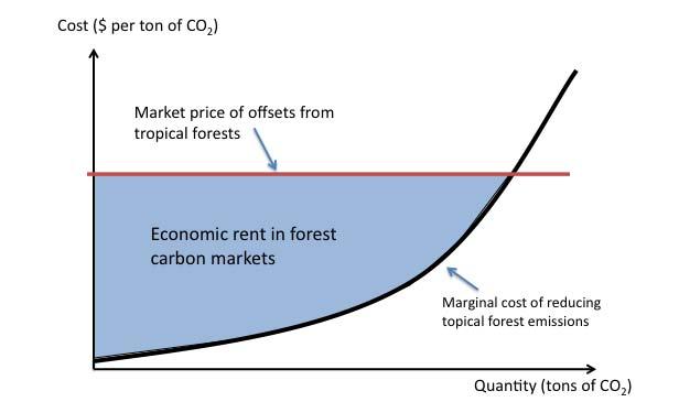 and unexpected mismatches between domestic offset demand and international forest carbon offset supply.