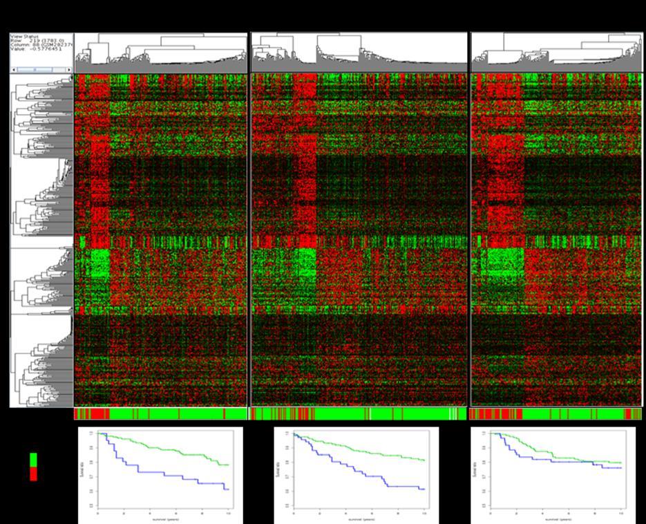 Figue 2.5. Heatmaps of top 500 DCS gene signatue in thee beast cance studies. Expession pattens ae emakably consistent acoss diffeent datasets.