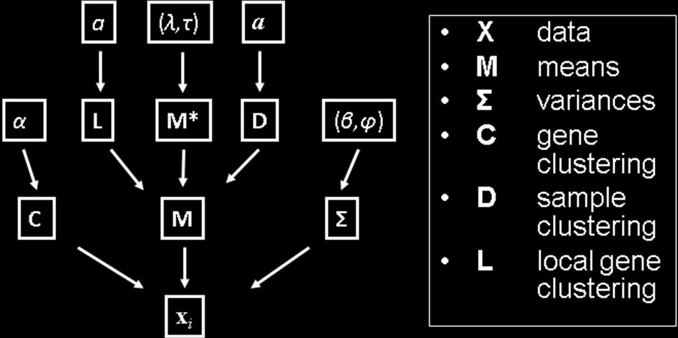 Diected Acyclic gaph descibing the DCIM computational model.