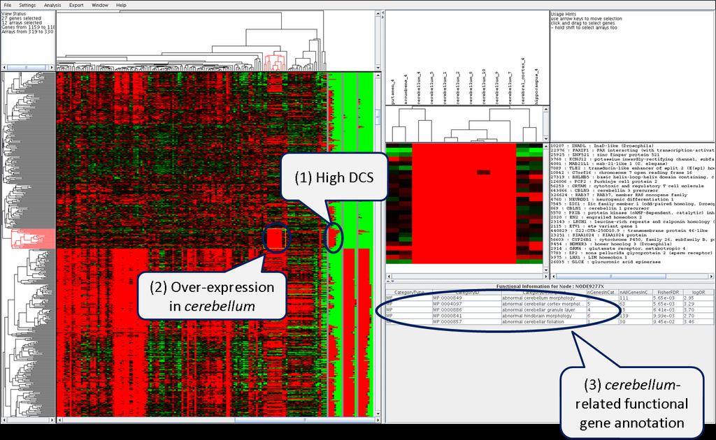 Figue 4.10. Sceenshot of fteeview displaying DCIM and CLEAN esults fo the GSE3526 dataset. A gene cluste with high DCS was identified by visual inspection (1).