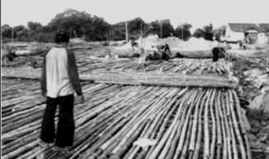 [5] featuring research full-scale test embankment with reinforcement pile mattress bamboo for toll roads in Tambak Oso, Surabaya (Fig. 2).