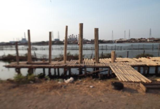 Sustainable Construction, Engineering and Infrastructure Management Bamboo pile testing are located in areas of ponds with stagnant water approximately 1.