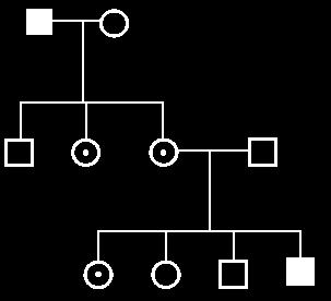 Pedigree for recessive allele only males affected males transmit trait to all
