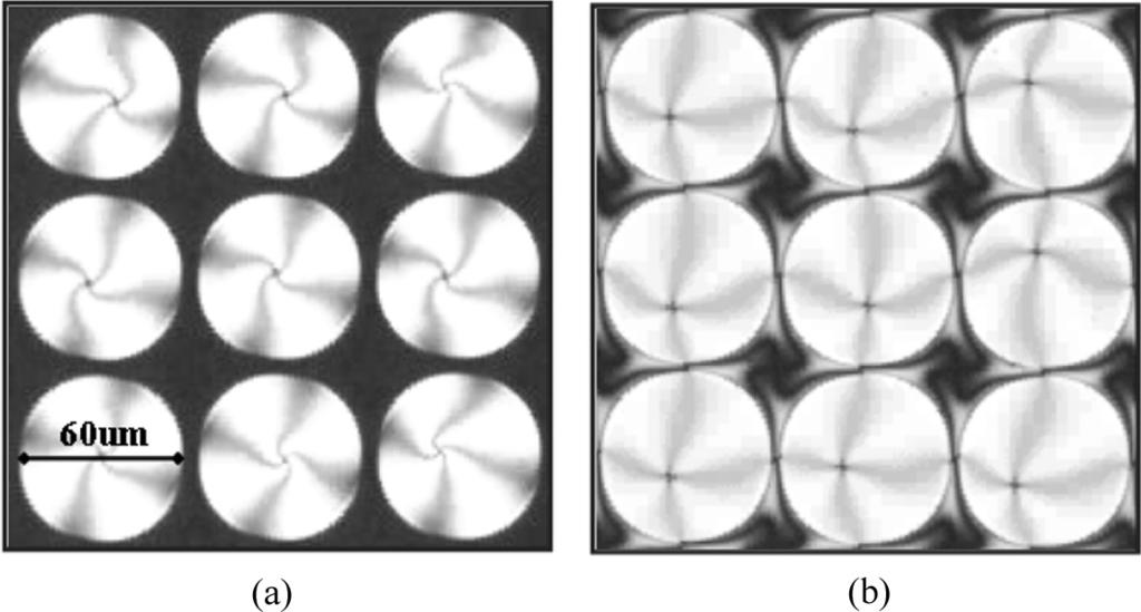120=[366] S. G. Kim et al. FIGURE 4 Optical microphotographs of (a) LSH-1 cell and (b) LSH-2 cell showing dark brush in a white state at the 5.5 V. 45 and 0, respectively.