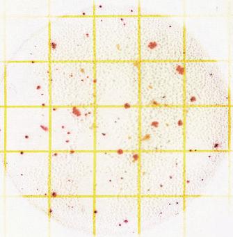 Figure 10 Count: 83 Because colonies on 3M Petrifilm AC Plate are red, you can distinguish them from opaque, irregularly shaped food particles. See Circles 1 and 2.