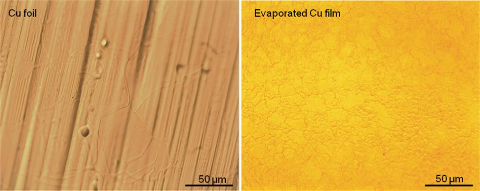 Figures S1 and S2 below provide a comparison of growths on Cu foils (left images) and evaporated Cu