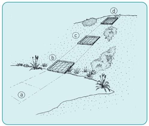 The transect method: A transect is a line across a habitat or part of a habitat. It can be as simple as a string or rope placed in a line on the ground.