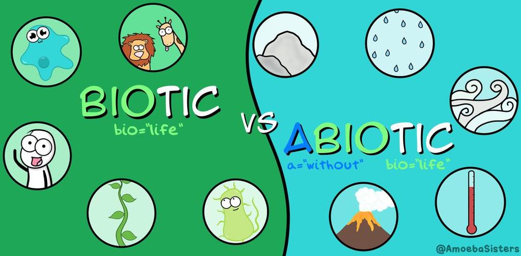 Abiotic and biotic factors Abiotic factors are the non-living parts of an ecosystem that can affect the community: Light intensity Temperature Moisture levels Soil ph and mineral content Wind