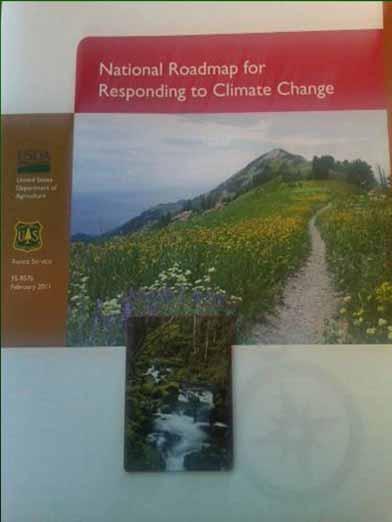 A Roadmap for responding to climate change 1.
