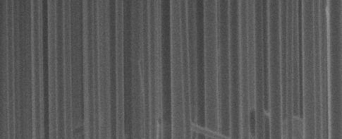 Electrode (Fuel Side) SiO 2 Support (a) Nanotube