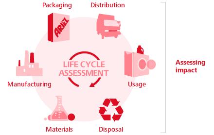 One lifecycle