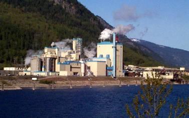 market for NBSK pulp - and one of the largest, most modern pulp mills in North America Restricted Group 100% 100% 74.