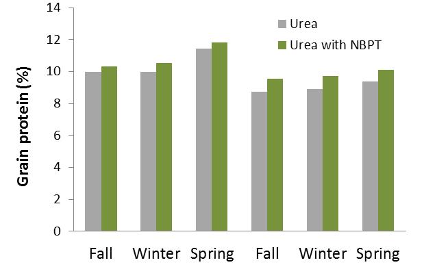 NBPT with broadcast urea can increase WW grain protein 90 lb N/acre Coffee Creek, MT Engel unpub data 2012