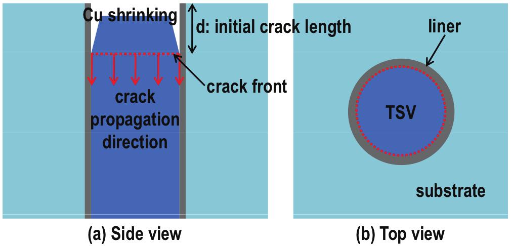 A crack can form around the TSV circumference near the top surface, and then propagate down along the interface between the liner and the TSV.
