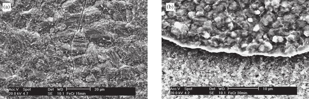 The surface of alloy FeCrY sulphidized for 30 min can be seen in Fig. 10. Under these conditions, the specimen scaled.