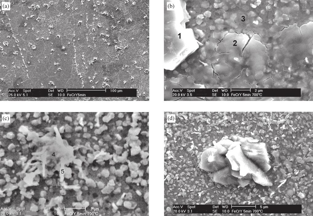 354 Pillis & Ramanathan Materials Research Figure 9. Surface of the FeCrY alloy sulfidized for 5 min at 700 C. Figure 10.