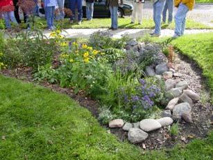 Stormwater Management Commonly listed examples of best practices include:
