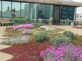 practices Innovative solutions, such as porous pavement, green roofs, green