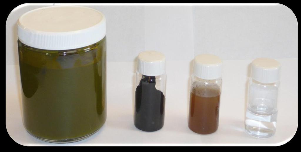 2.2 Solix Algae HTL Oil HTL H 2 O CHG H 2 O