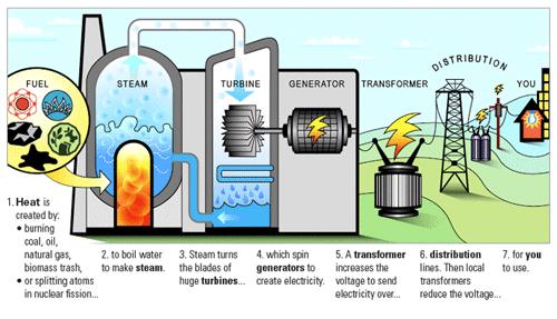 Types of Renewable Energy 2. Biomass Energy How does it work?