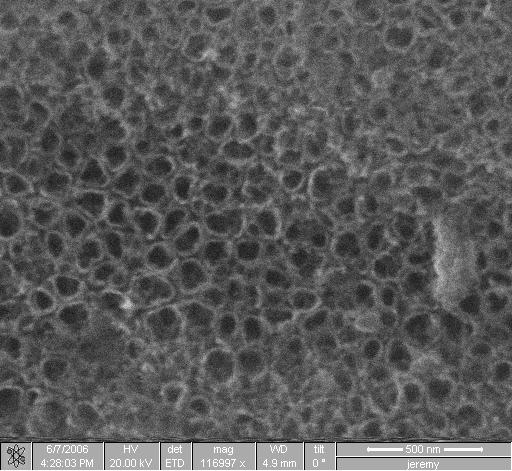 SEM of self organised titania nanotubes (Top View) 500 nm 300 nm Uniform growth of aligned