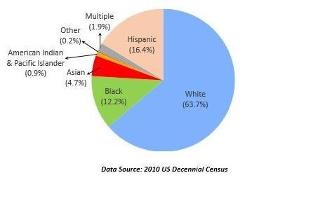 U.S. Race & Ethnicity Combined: 2010 Execution US