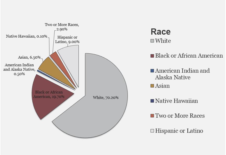 Virginia Race & Ethnicity Combined: