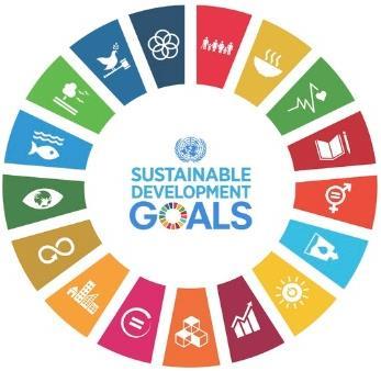 Environmentally related SDG indicators Experiences and challenges in the monitoring of the SDG