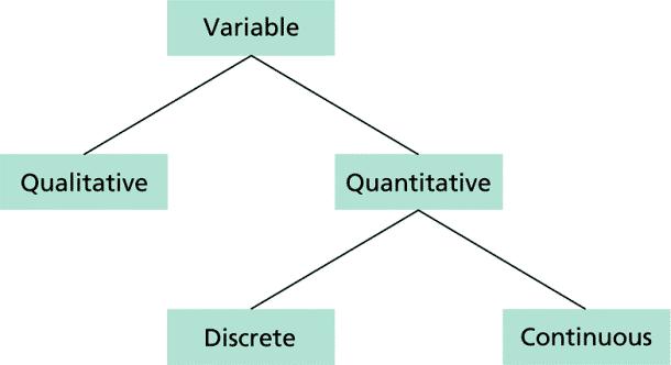 What Types of Variables do we have? Variable: A characteristic that varies from one person or thing to another. Qualitative variable: A nonnumerically valued variable.