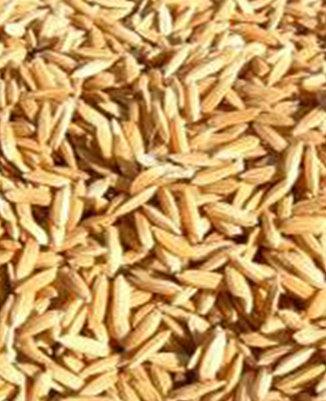 Devgen acquisition reinforces leading rice position Seeds market underdeveloped No clear market leader Hybrids <5%