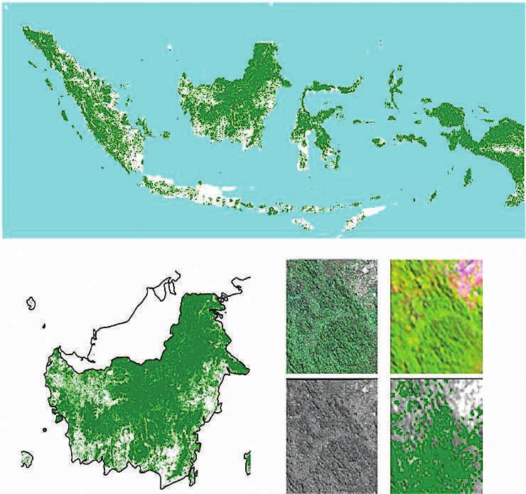 Figure 5-2. Example of the products of forest extent (in 2009) at national, regional and local scale. The local scale includes comparison with Landsat and high-resolution imagery (LAPAN, 2014).