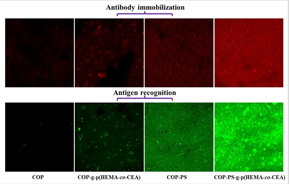 Fig. S3 Optical absorption of TB solution versus photografting time for the polymer brush-modified COP and