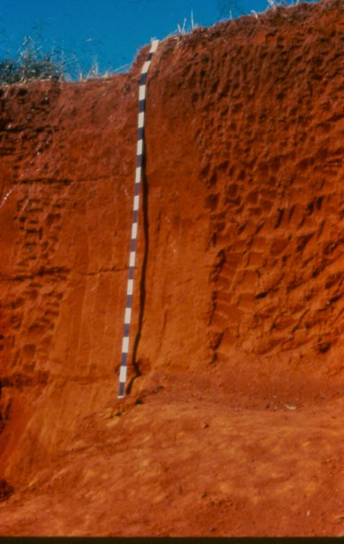 Brazil US Midwest Similar Soil