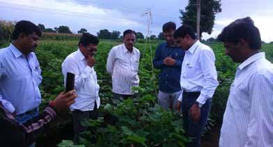 8 27 th September, 2016 Cotton Statistics & News Cotaap Corner Events for August- September 2016 Well distributed rain with good sunlight has facilitated the growth of cotton crop in the Khandesh
