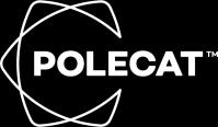 Polecat places these reputation drivers by distinct categories these are taxonomies that represent: business compliance, environment, business continuity, culture, social impact, innovation; based on