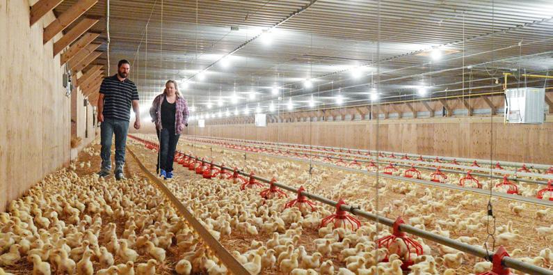 Goal 3: Economic Continue to look for ways to create value and mitigate risk for the whole chicken industry value chain Partner with Provincial Boards on risk management Have contingency management