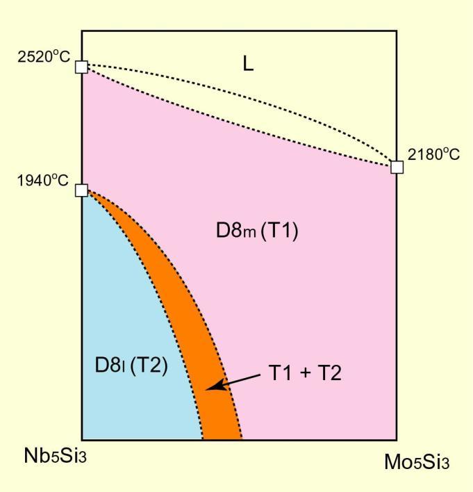 T1/T2 Two Phase Field in the