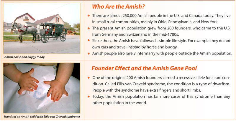Figure 8.27 : Founder Effect in the Amish Population. The Amish population in the U.S. and Canada had a small number of founders. How has this affected the Amish gene pool?