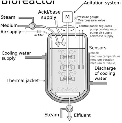 Bioreactor An apparatus (usually jacketed cylindrical SS vessel) for growing organisms such as bacteria, viruses, or yeast that are used in the