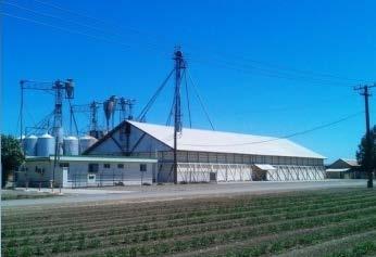 Seed Processing 40 acre Facility Three lines alfalfa, wheat, small grains Capable of processing 24 million