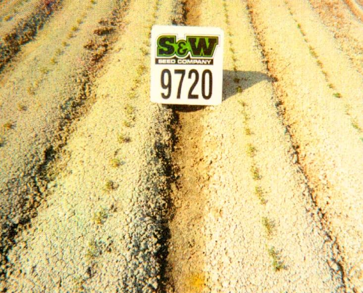 Leading Genetics Superior Non-Dormant Genetics Highest yielding University of Arizona Alfalfa Seed Yield Trials (2009) Highest salt tolerance In tons per acre Cutting Date Period 4/10/09 5/5/09