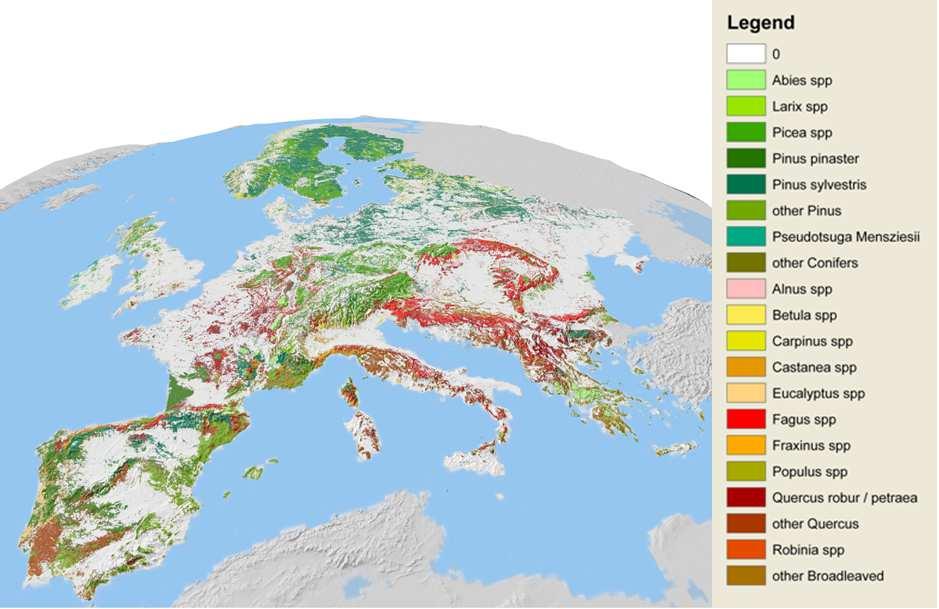 Forest resources in the EU Forest and other wooded land: 178 million ha (42% of total EU land) of which 117 million ha are available for wood supply.