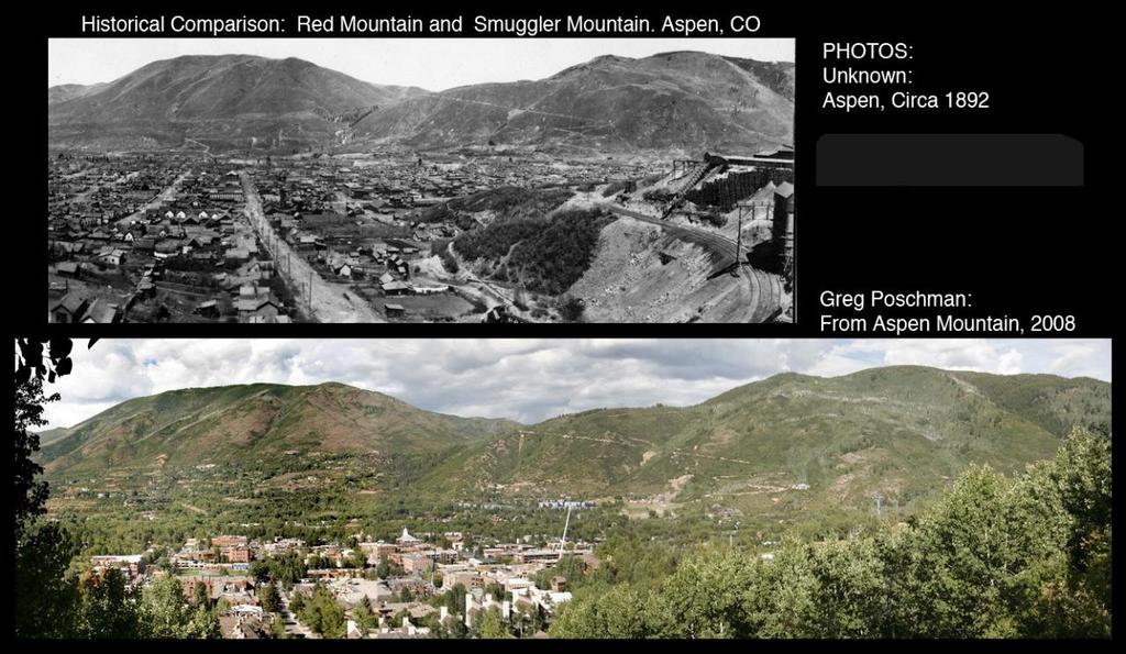 Figure 5. Comparison panoramic views of Red and Smuggler Mountains. 12 As is the nature of living ecosystems, the task of forest management requires careful study, attention, and action.