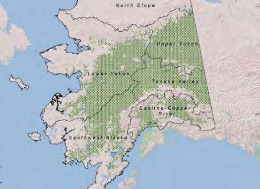 2014 Interior Alaska Highlights: Forests of the Tanana Valley State Forest and Tetlin National Wildlife Refuge Alaska This briefing is a synopsis of a more detailed report that is being published by