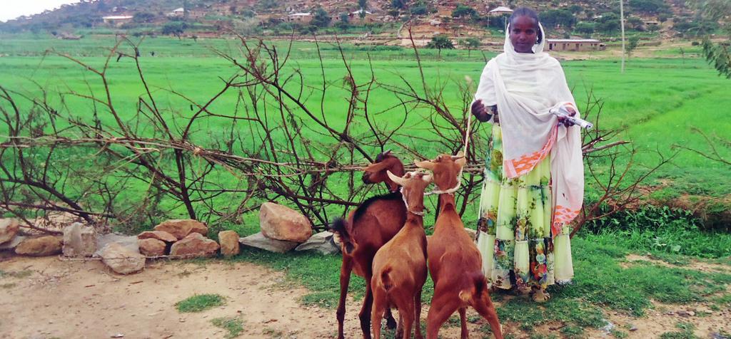 WHY ANNET NOW SAYS THE SKY IS HER LIMIT Hideat has received her goats, and is confident of a future free from hunger for her family. MAKING DOUBLE THE DIFFERENCE!