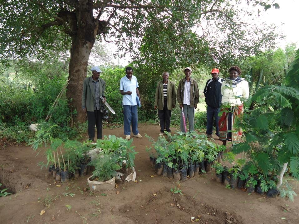 Photo; members of Kyeni Kya Mamiloki shg in their tree nursery which has different varieties of tree seedlings Other activities The farmers have managed to establish other activities to improve their