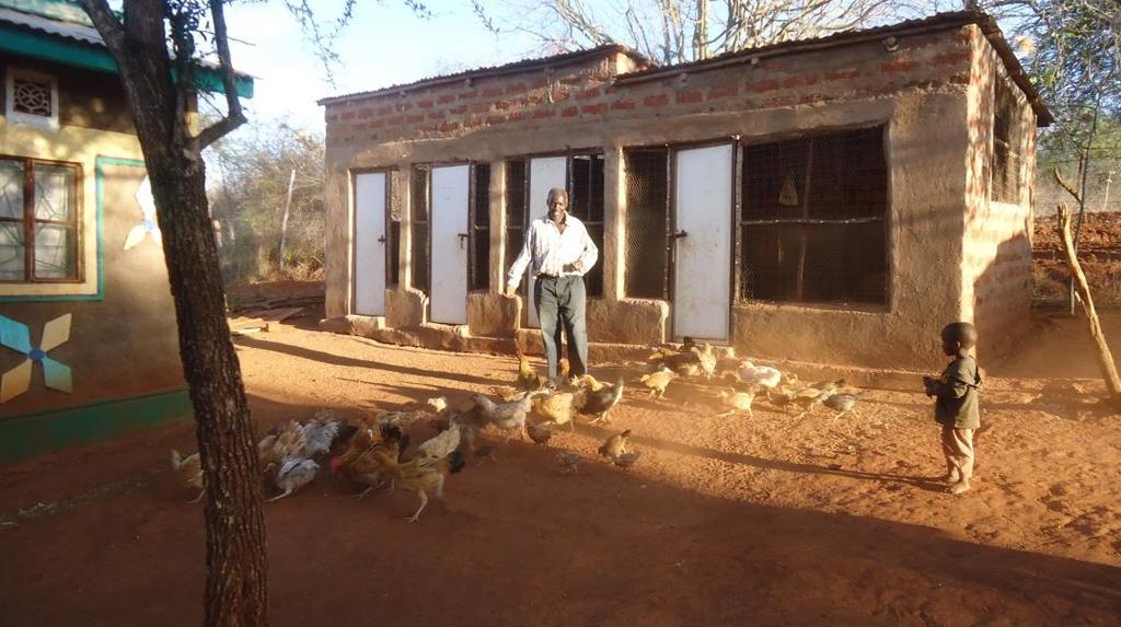 Photo; a community member feeding his indigenous chicken Fruit tree farming; being a dry area, some fruit varieties such as paw paws, mangoes, oranges, passion and